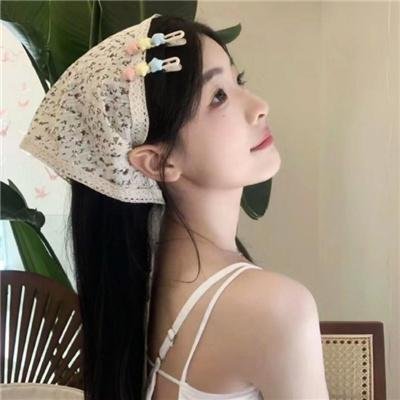 爱尔兰的弗兰克